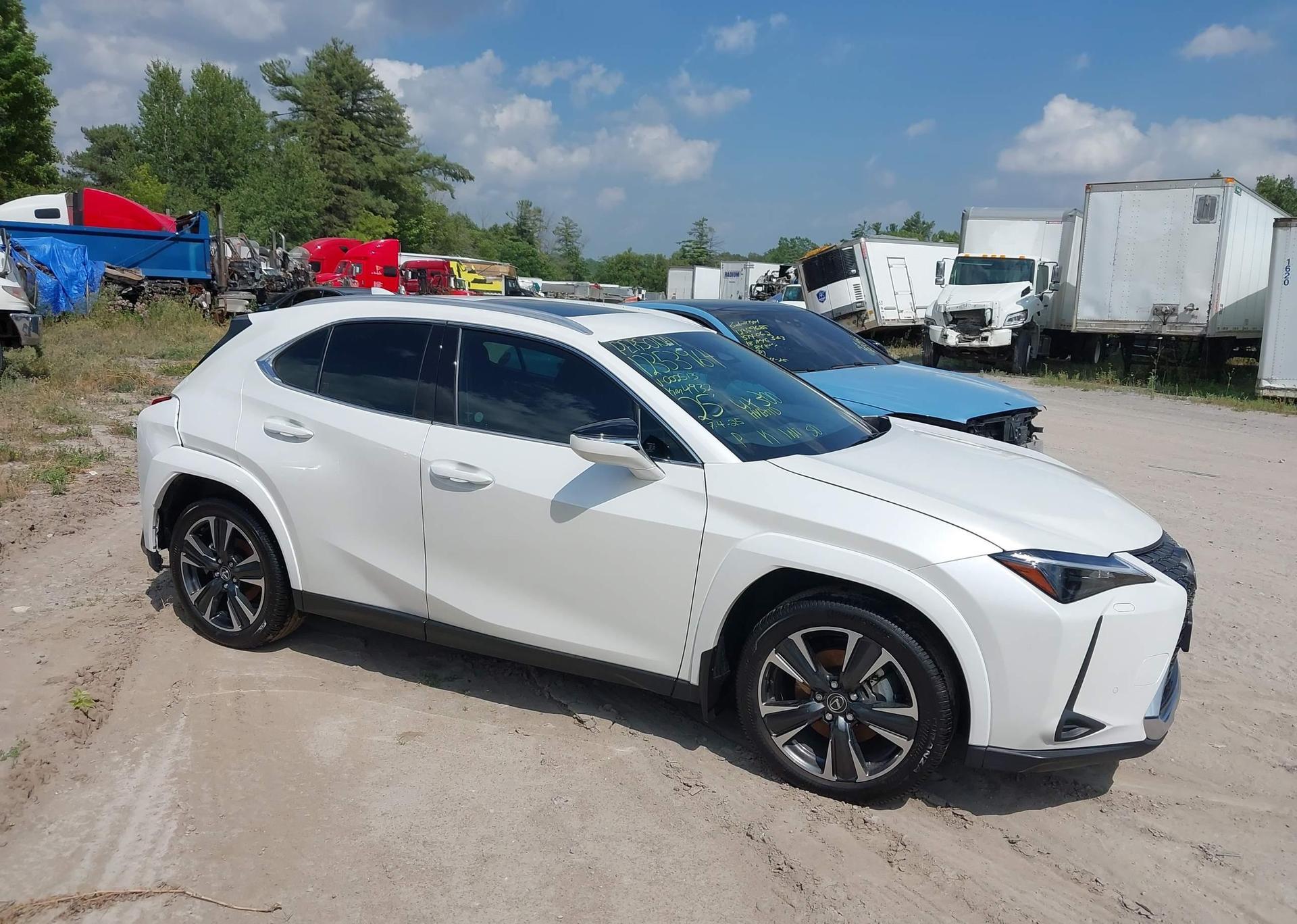 2025 LEXUS UX 300H