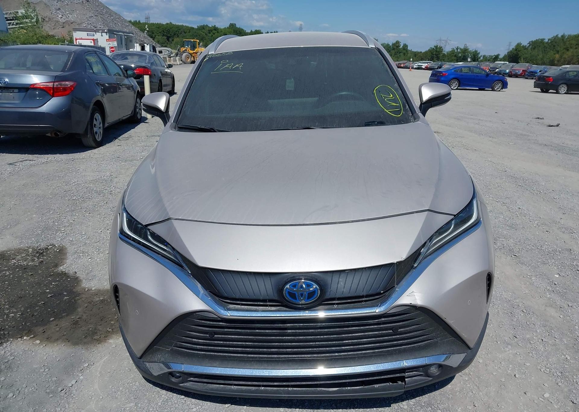 2024 TOYOTA VENZA