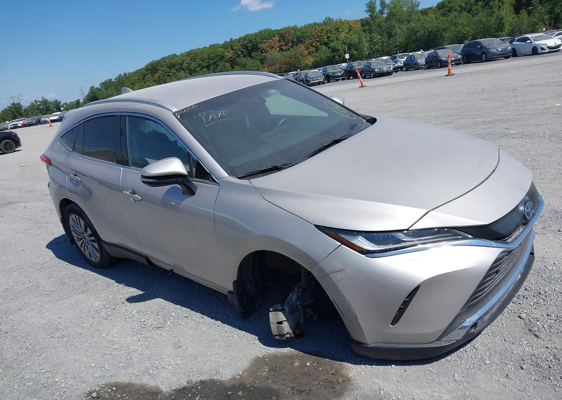 2024 TOYOTA VENZA