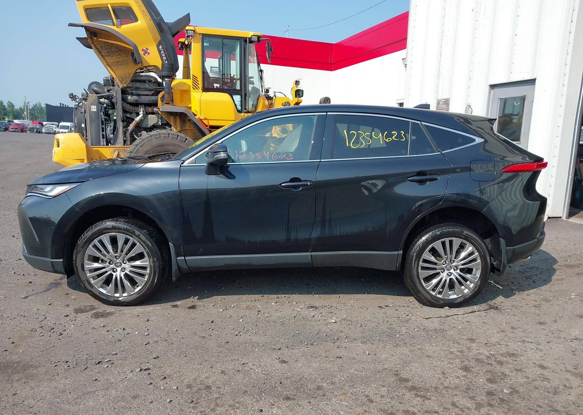 2023 TOYOTA VENZA LE