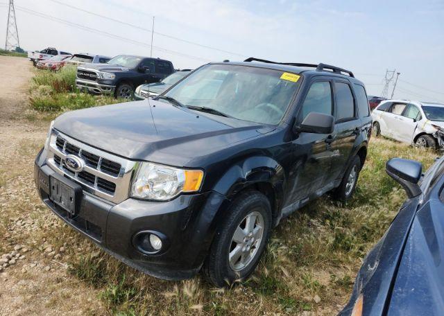 2009 FORD ESCAPE XLT