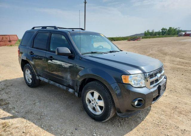 2009 FORD ESCAPE XLT