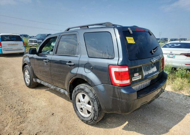 2009 FORD ESCAPE XLT