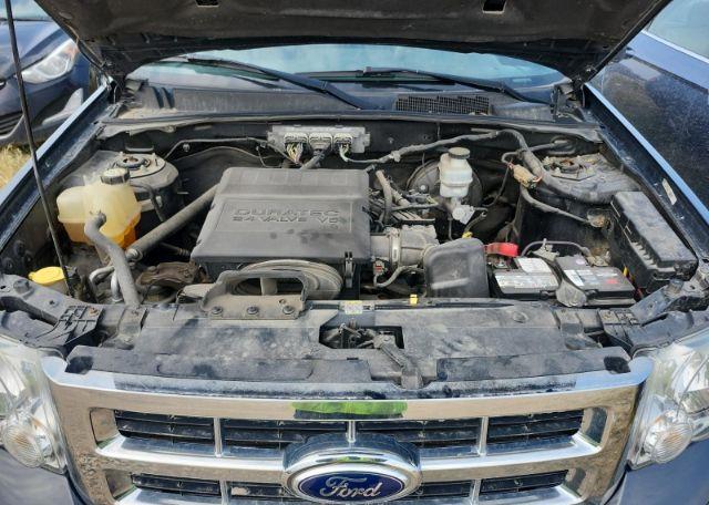2009 FORD ESCAPE XLT
