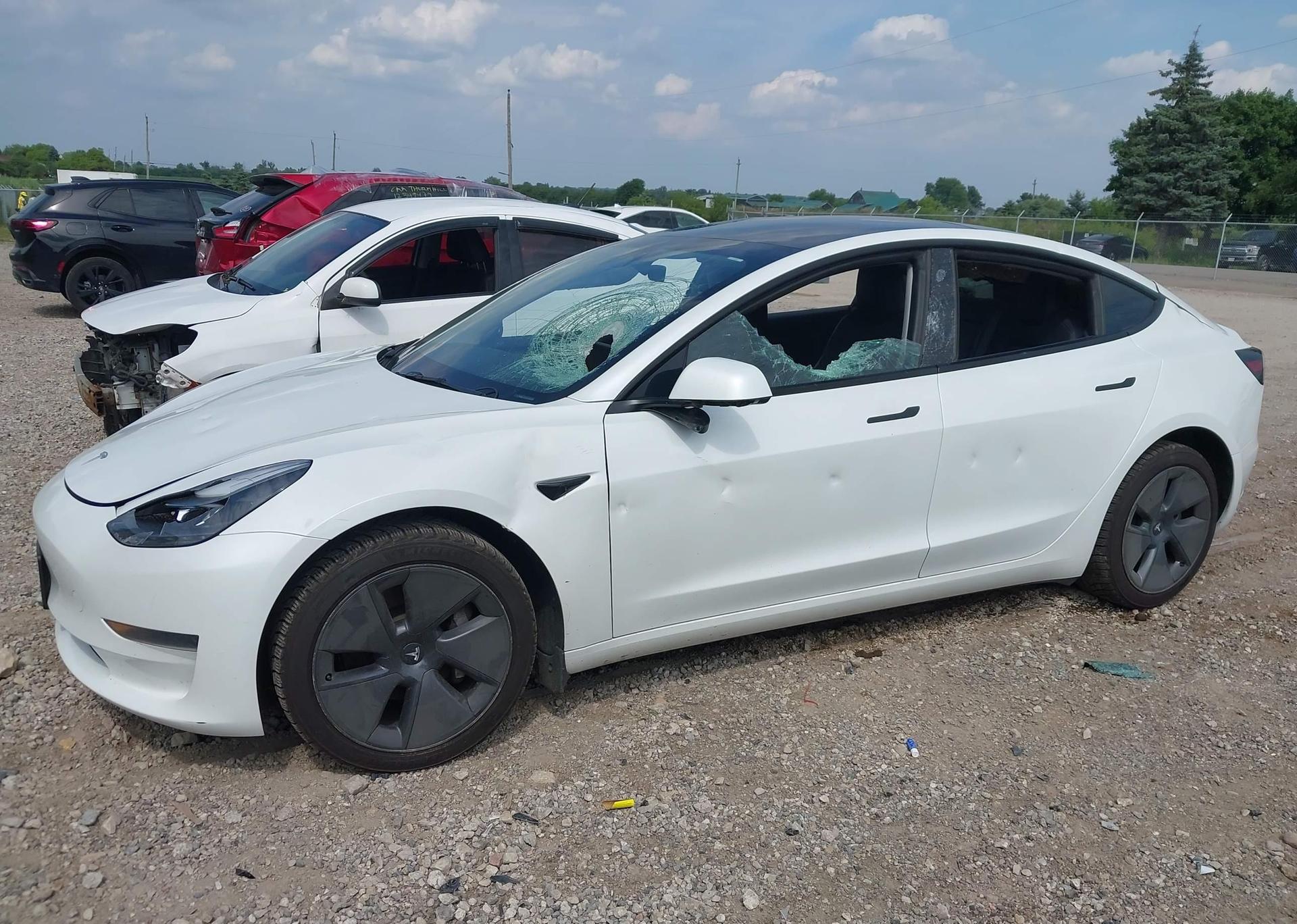 2023 TESLA MODEL 3 RWD