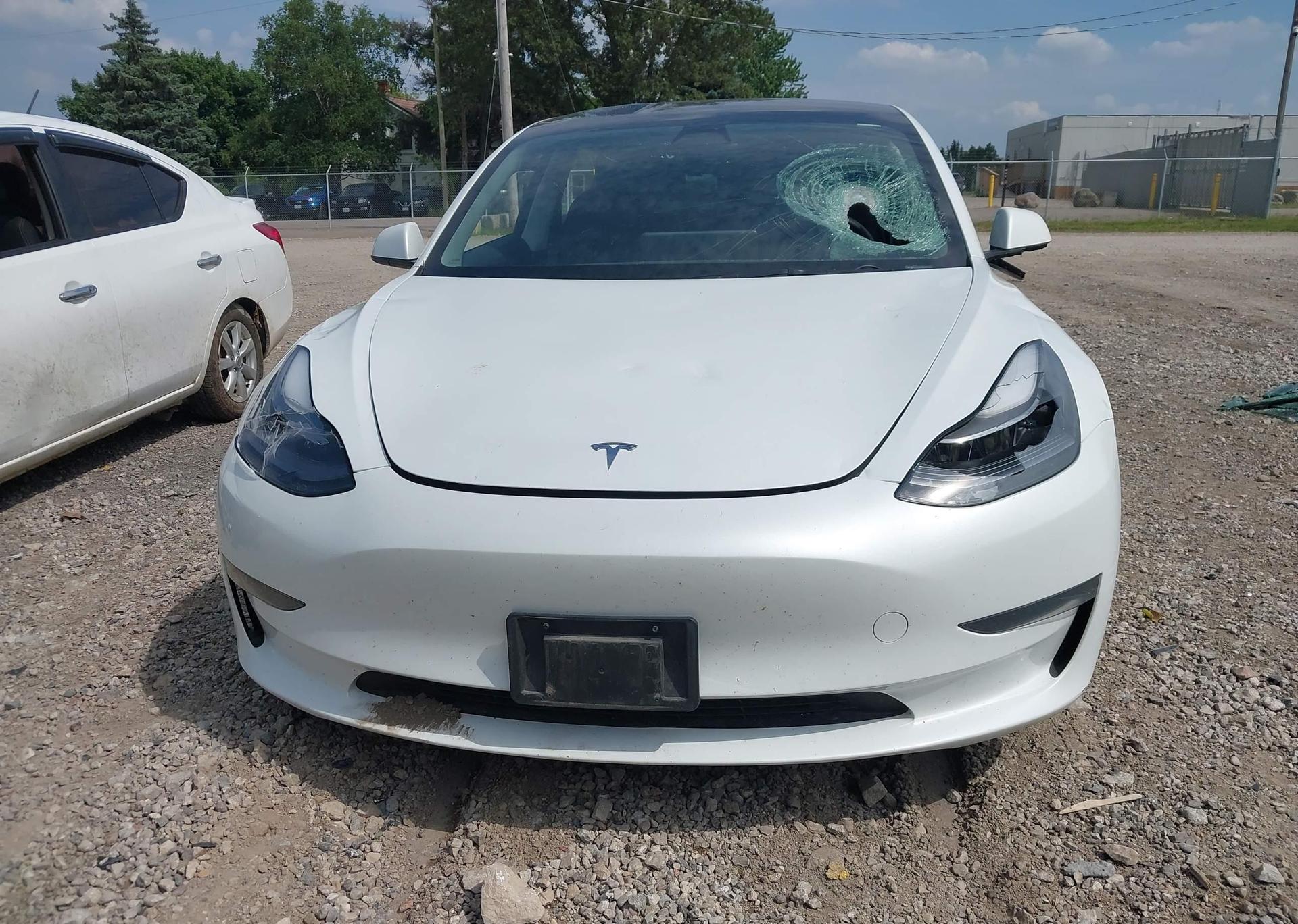 2023 TESLA MODEL 3 RWD