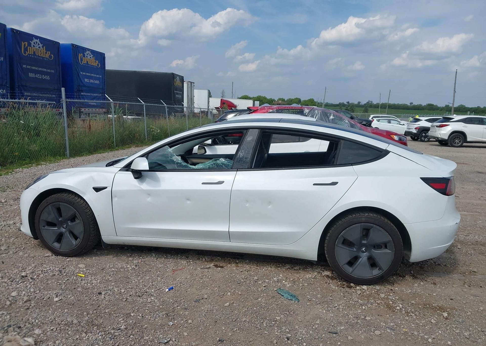 2023 TESLA MODEL 3 RWD