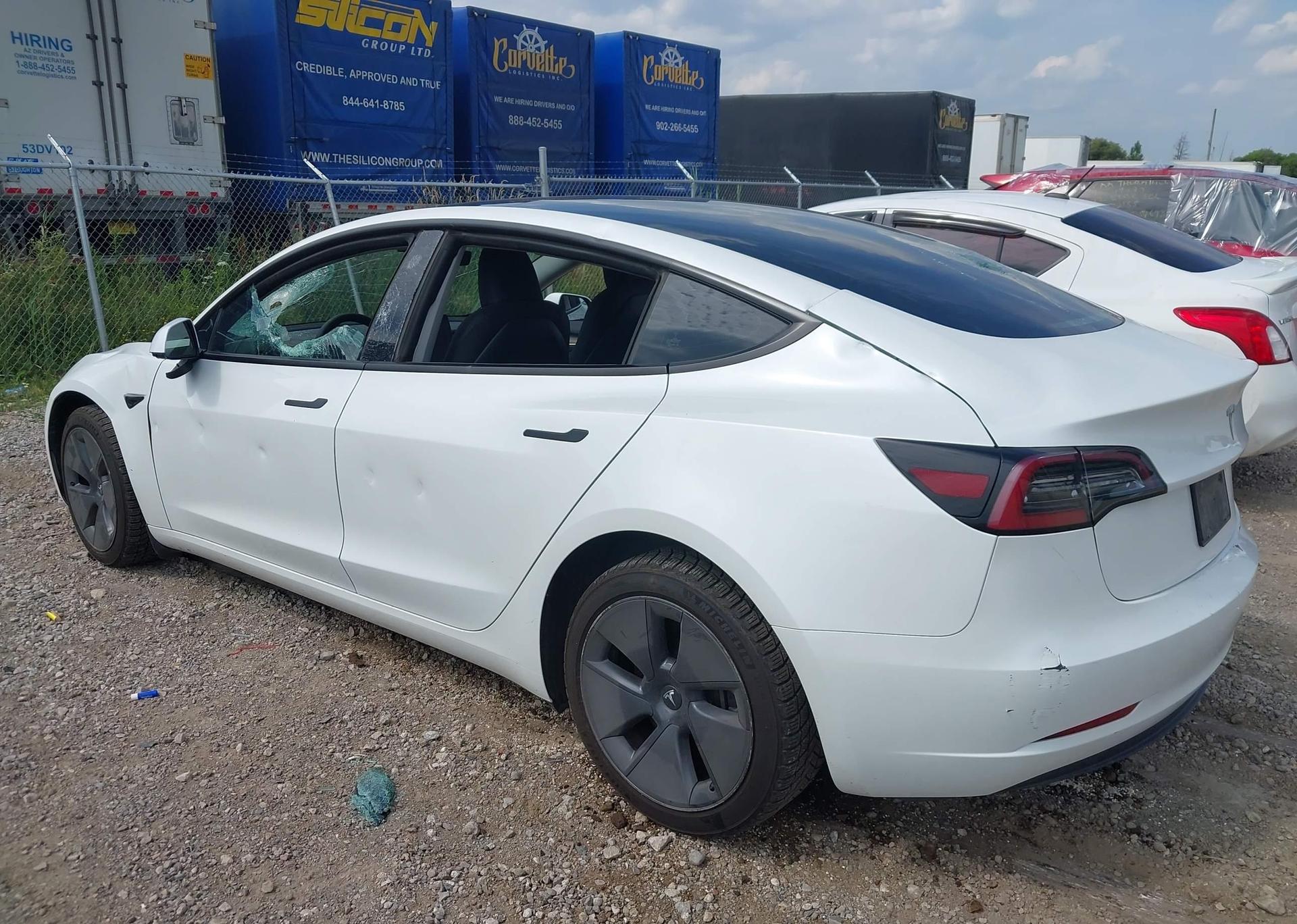 2023 TESLA MODEL 3 RWD