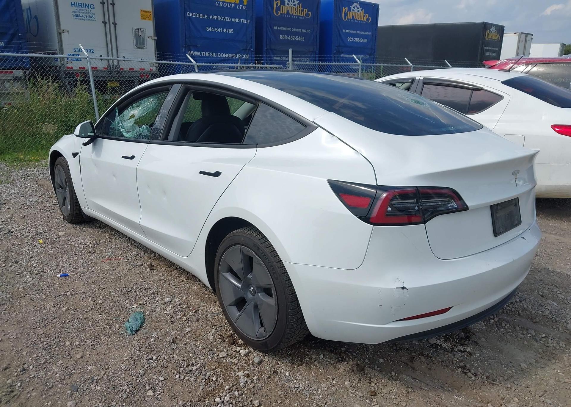 2023 TESLA MODEL 3 RWD