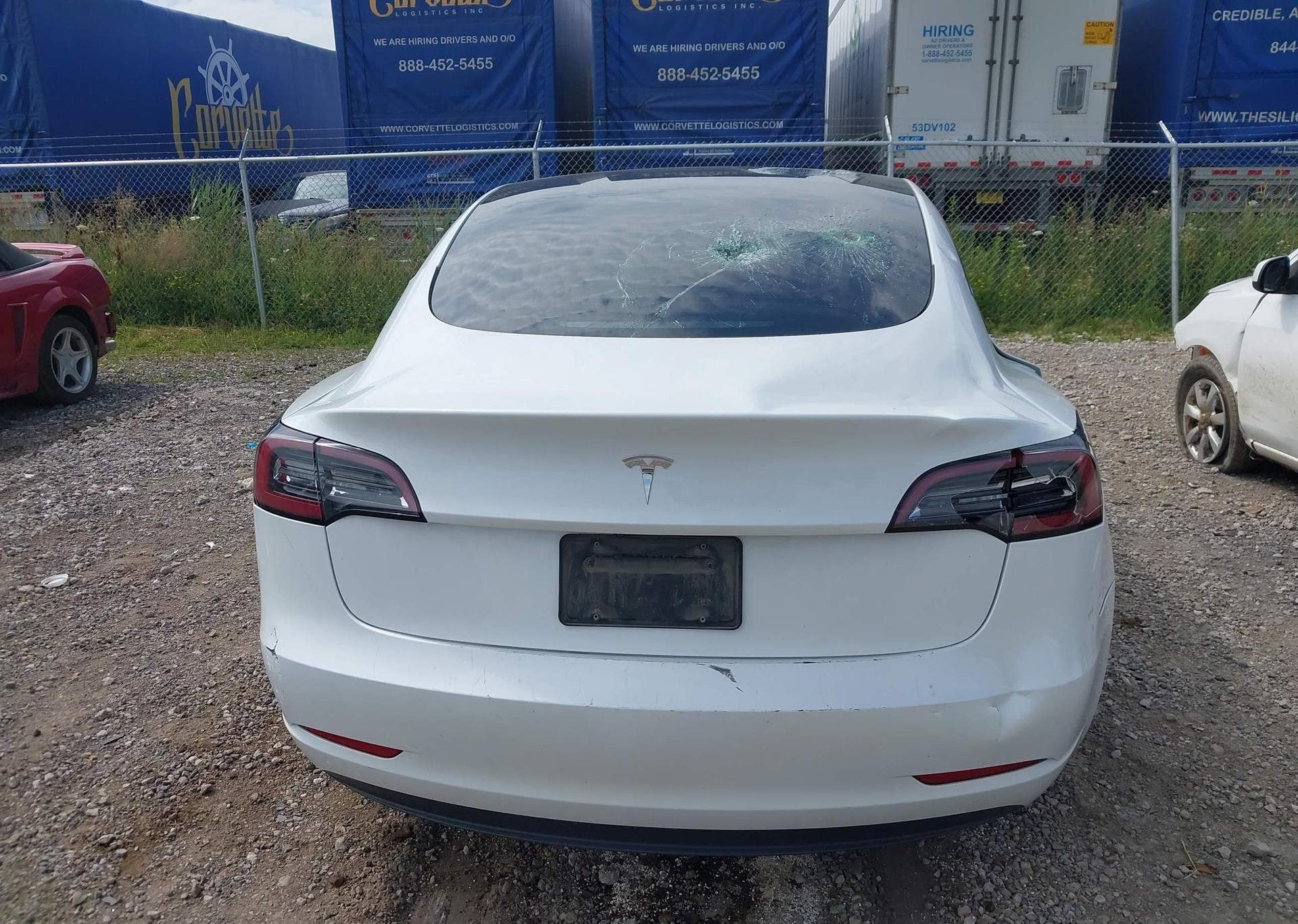 2023 TESLA MODEL 3 RWD