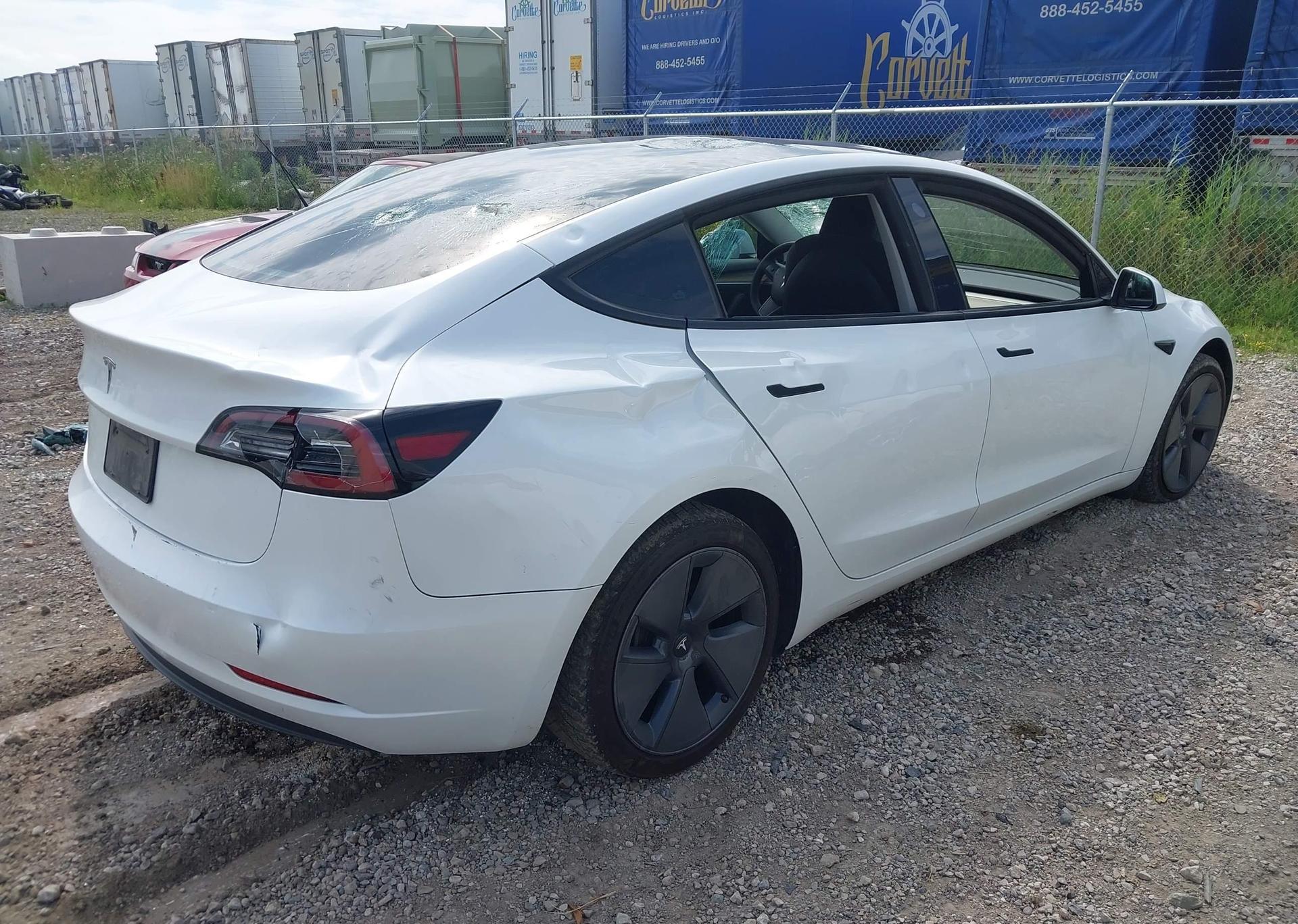 2023 TESLA MODEL 3 RWD