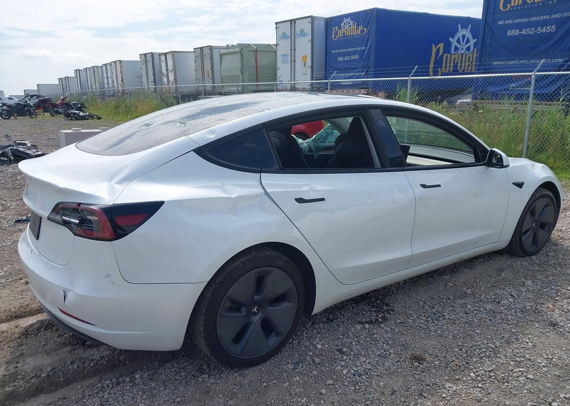 2023 TESLA MODEL 3 RWD