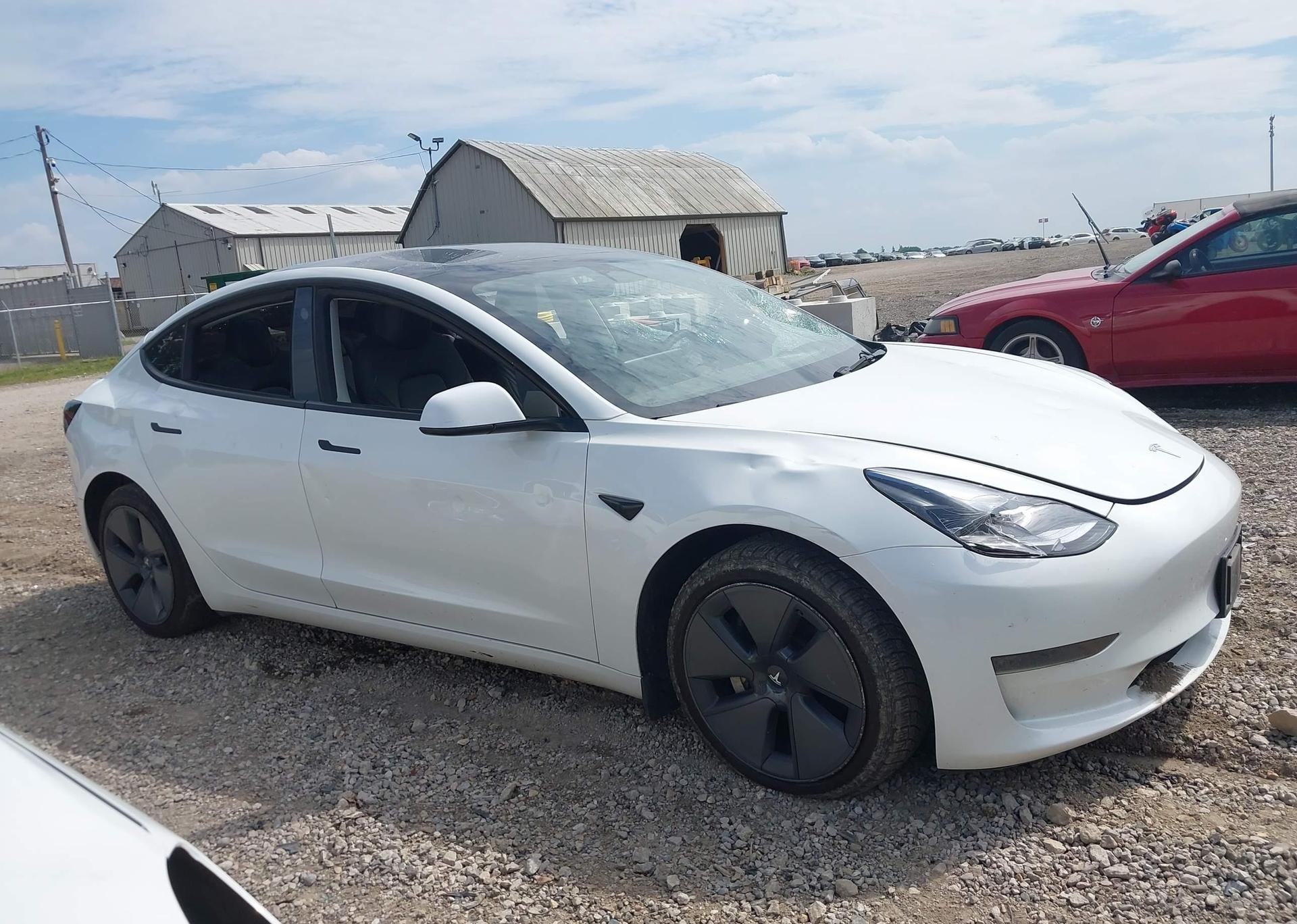 2023 TESLA MODEL 3 RWD