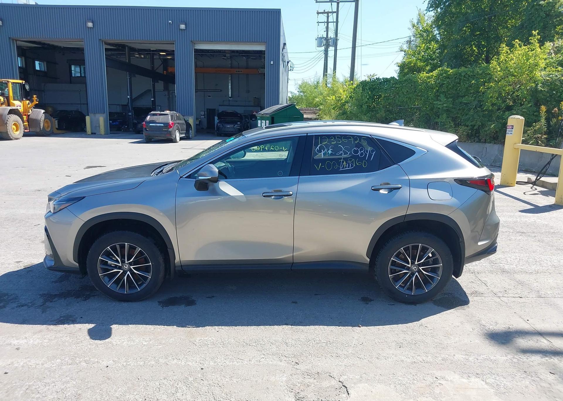 2024 LEXUS NX 350H