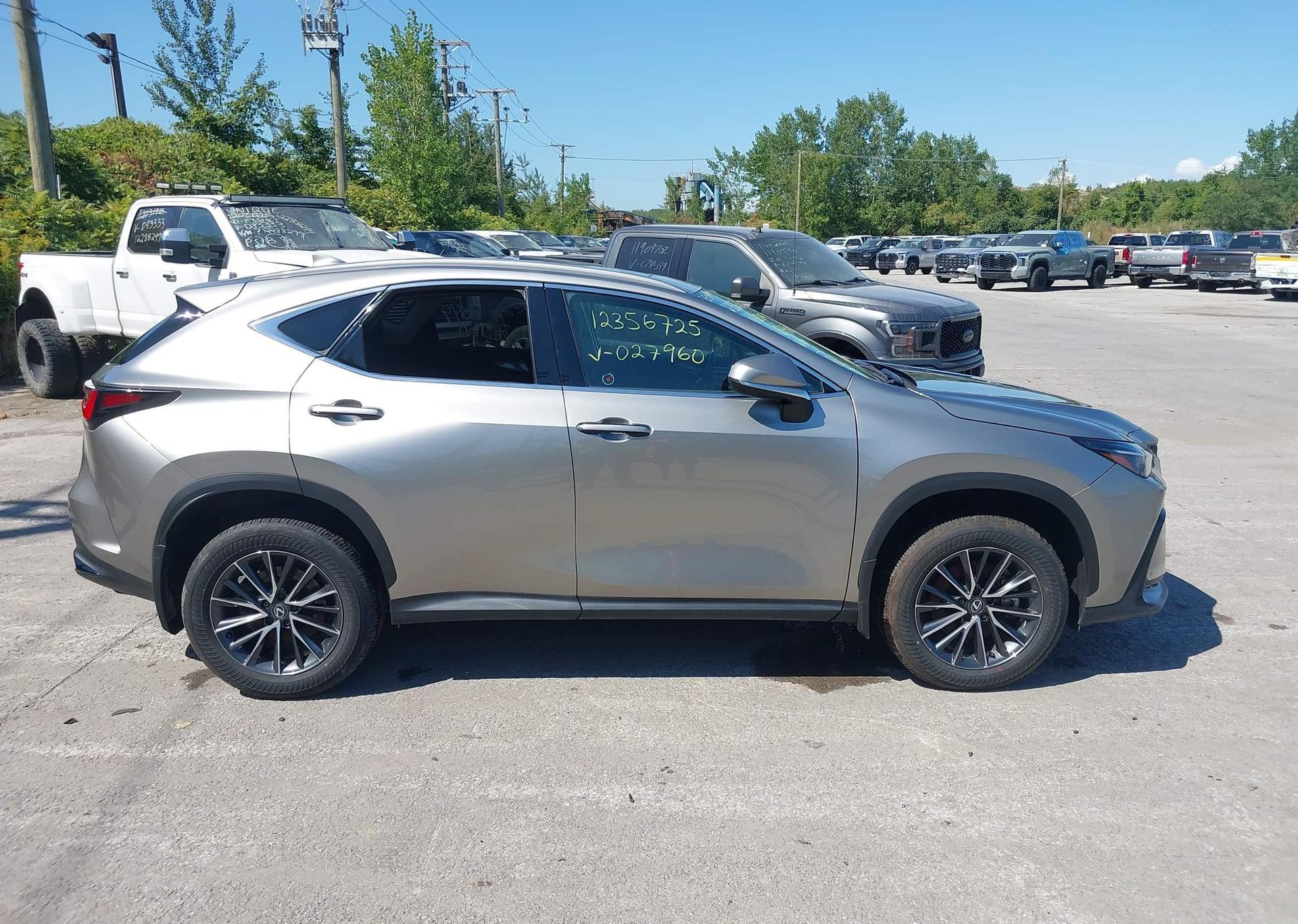 2024 LEXUS NX 350H