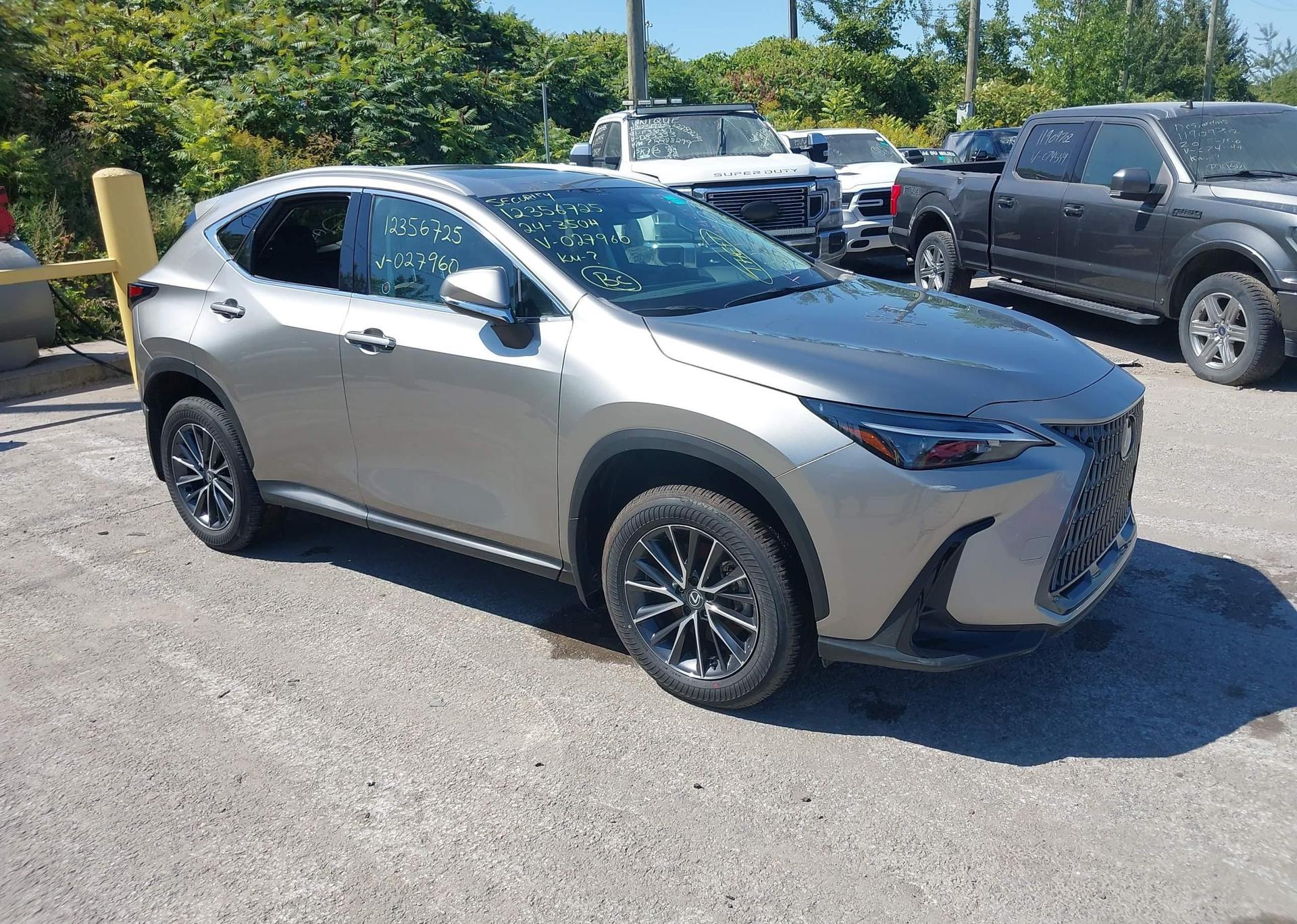 2024 LEXUS NX 350H