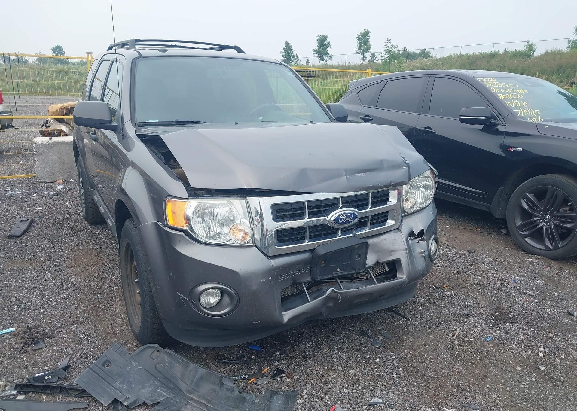 2011 FORD ESCAPE XLT