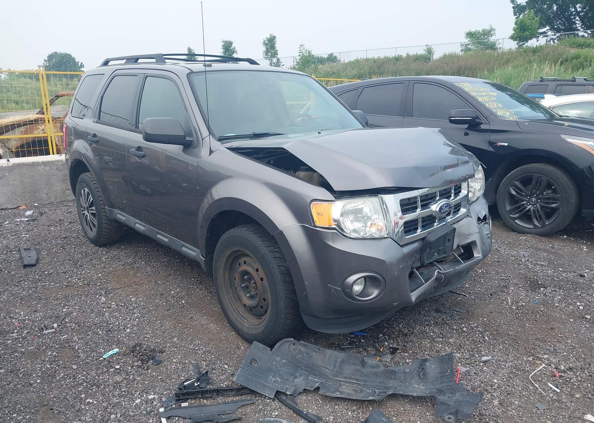 2011 FORD ESCAPE XLT