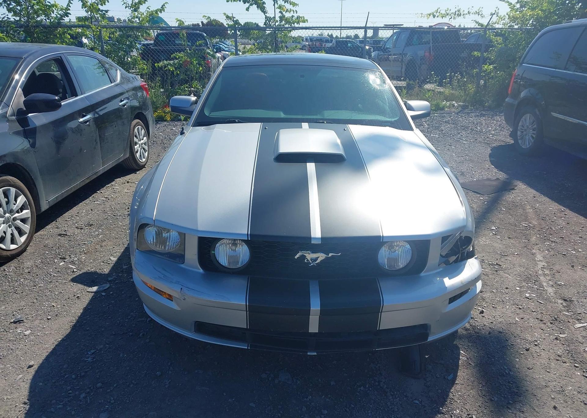 2009 FORD MUSTANG GT