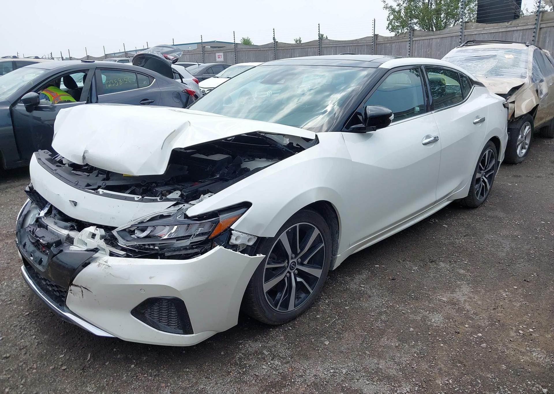 2023 NISSAN MAXIMA SL