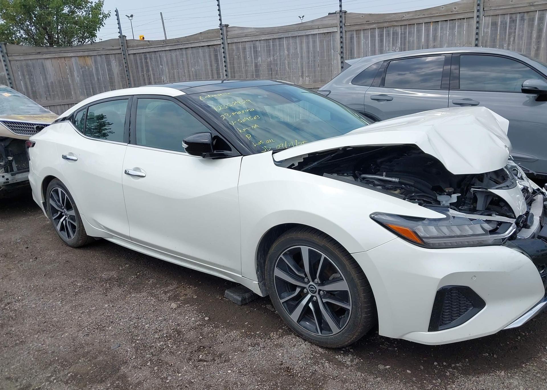 2023 NISSAN MAXIMA SL