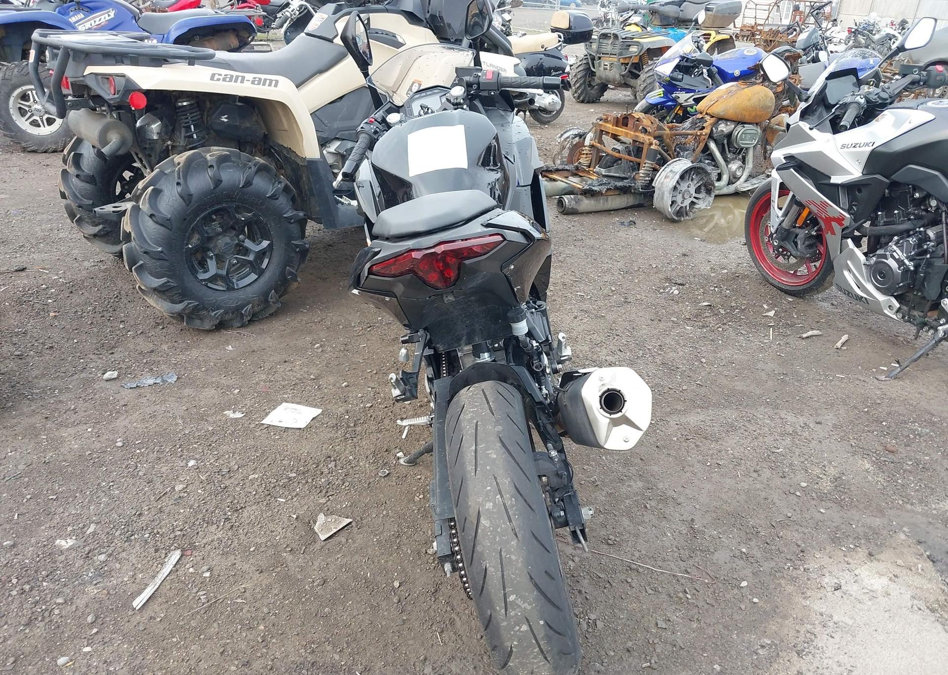 2024 KAWASAKI EX500