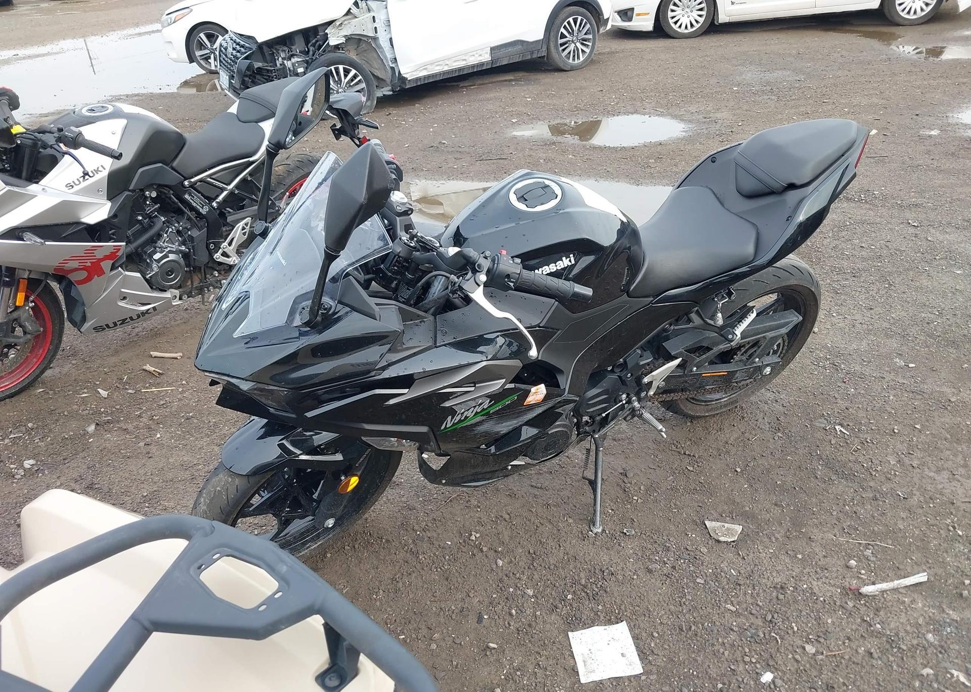 2024 KAWASAKI EX500
