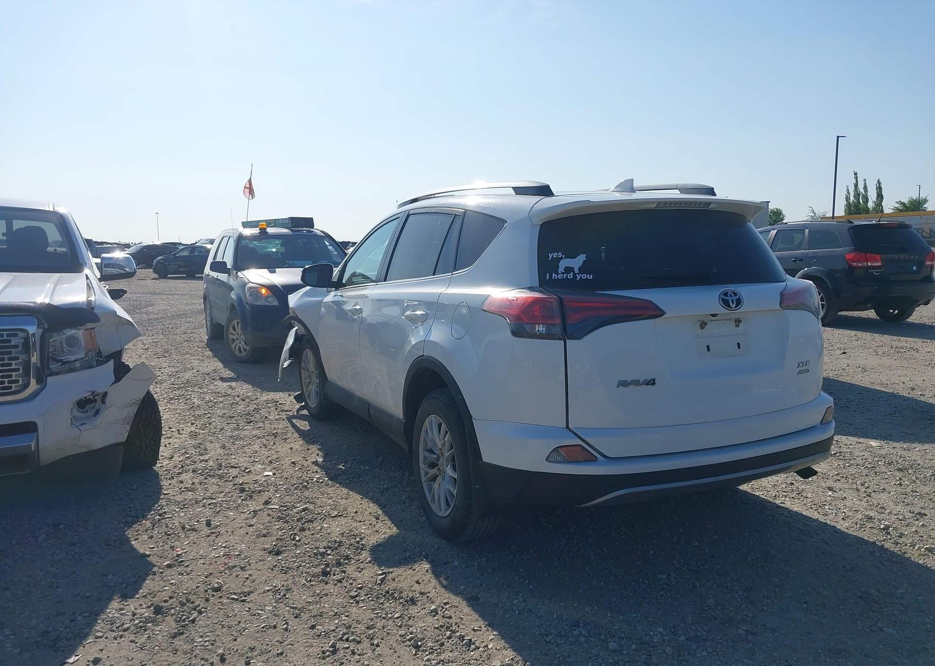 2017 TOYOTA RAV4 XLE