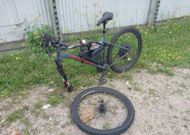 1900 Diamondback HARDTAIL