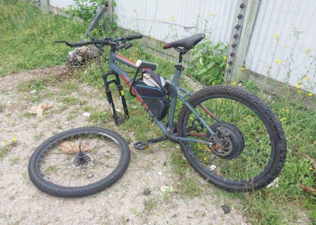 1900 Diamondback HARDTAIL