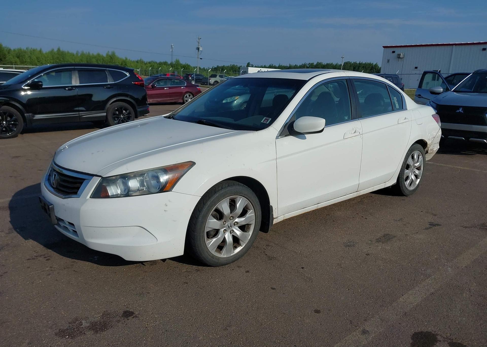 2010 HONDA ACCORD EX