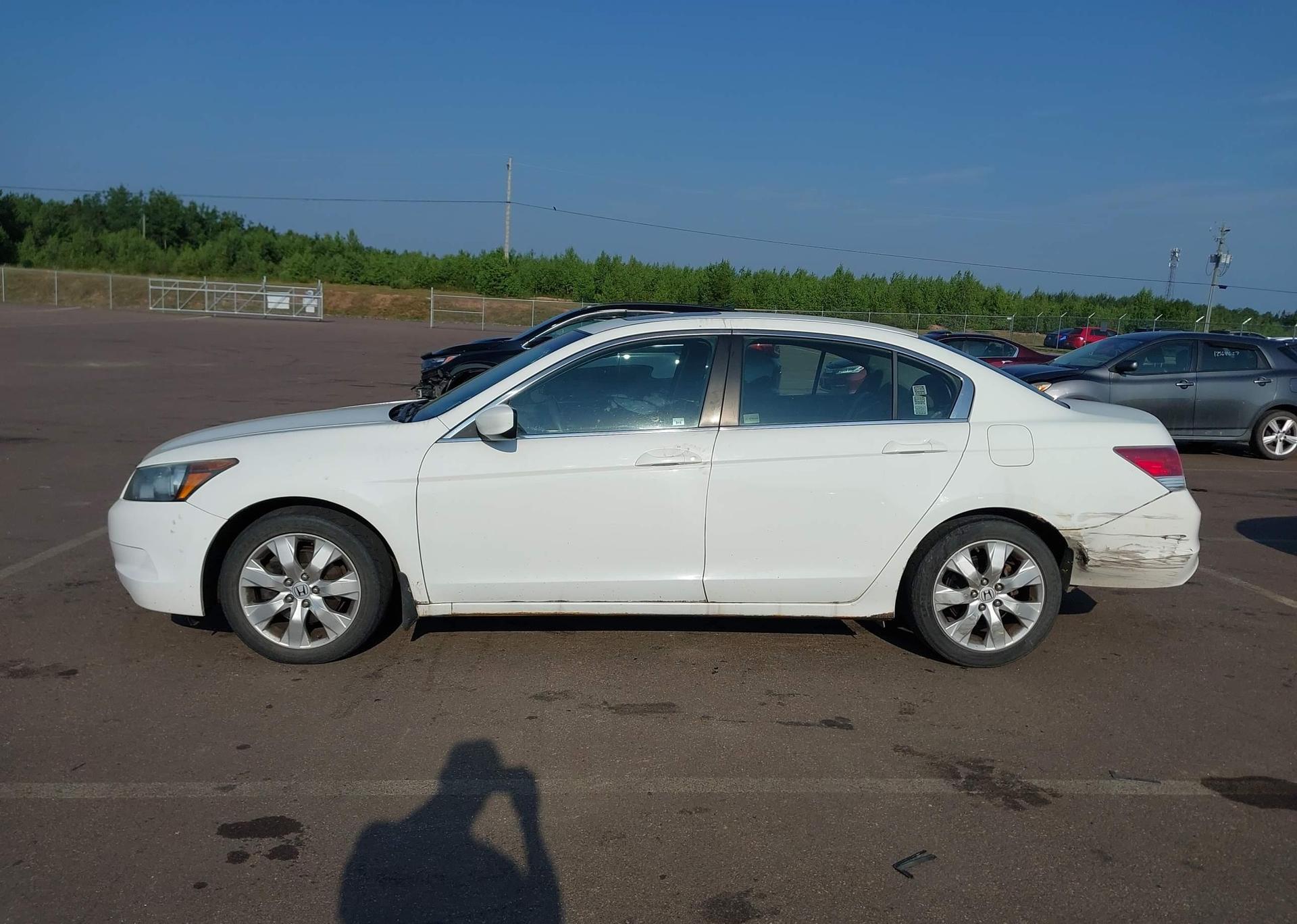 2010 HONDA ACCORD EX