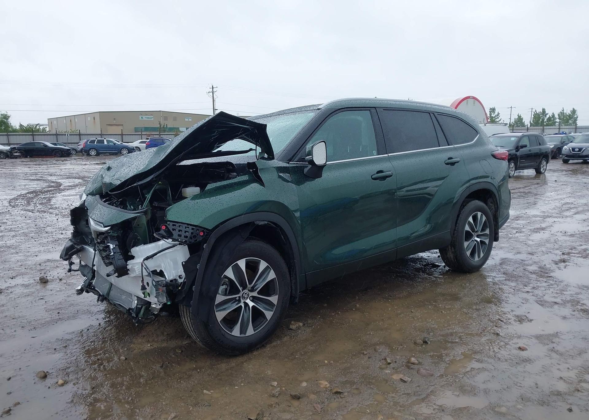 2025 TOYOTA highlander xle