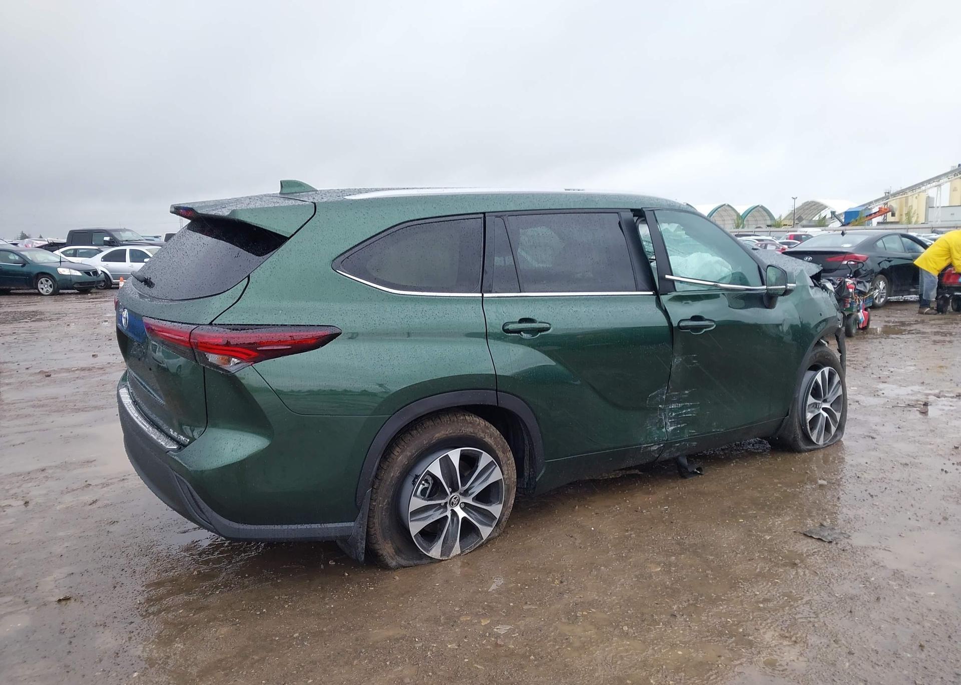 2025 TOYOTA highlander xle