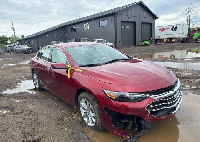 2024 CHEVROLET MALIBU LT