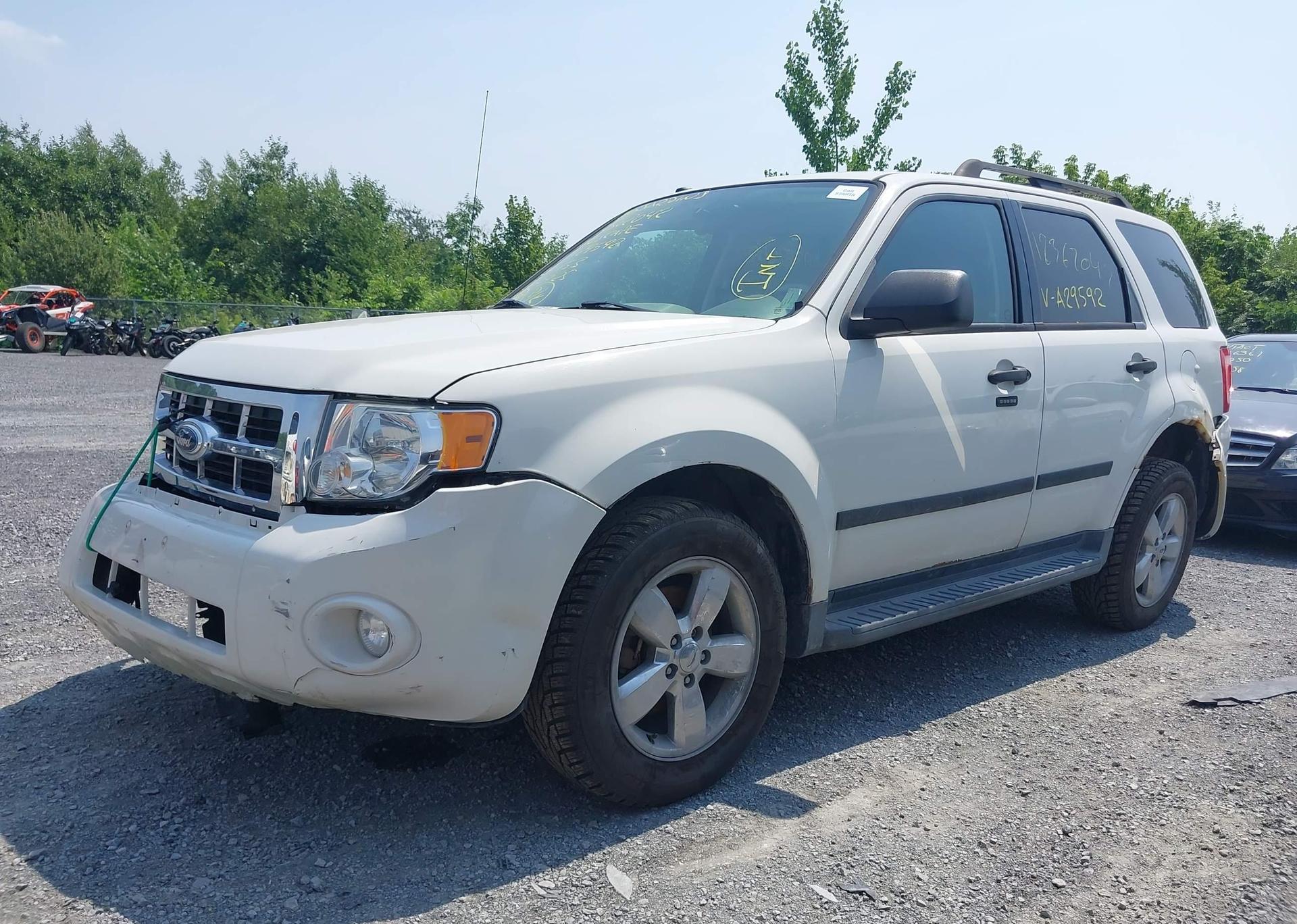 2011 FORD ESCAPE XLT