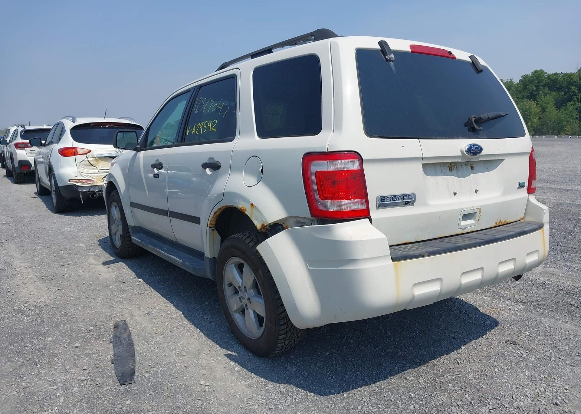 2011 FORD ESCAPE XLT
