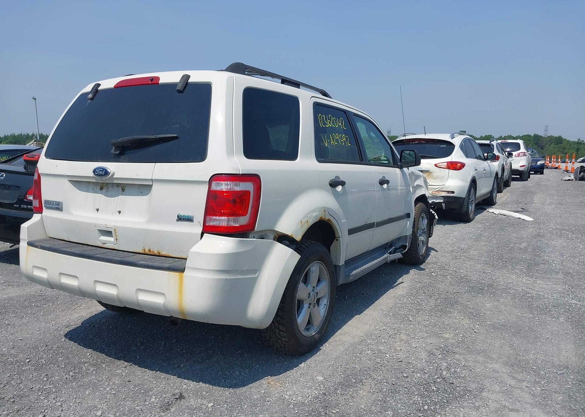 2011 FORD ESCAPE XLT