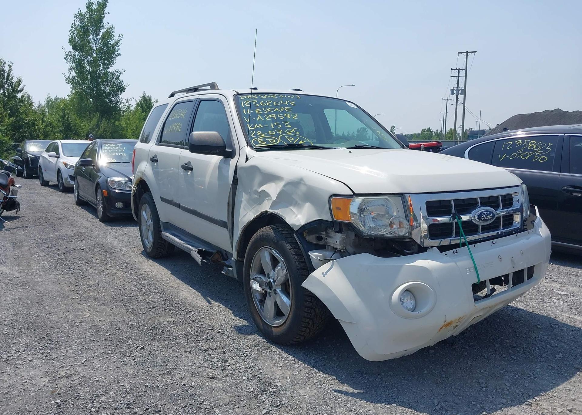 2011 FORD ESCAPE XLT