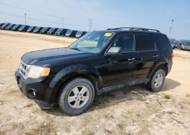 2010 FORD ESCAPE XLT