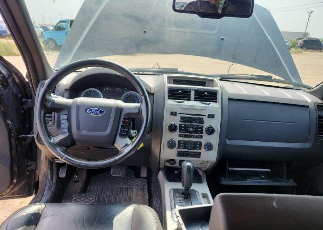 2010 FORD ESCAPE XLT