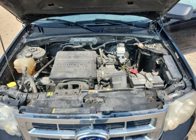 2010 FORD ESCAPE XLT