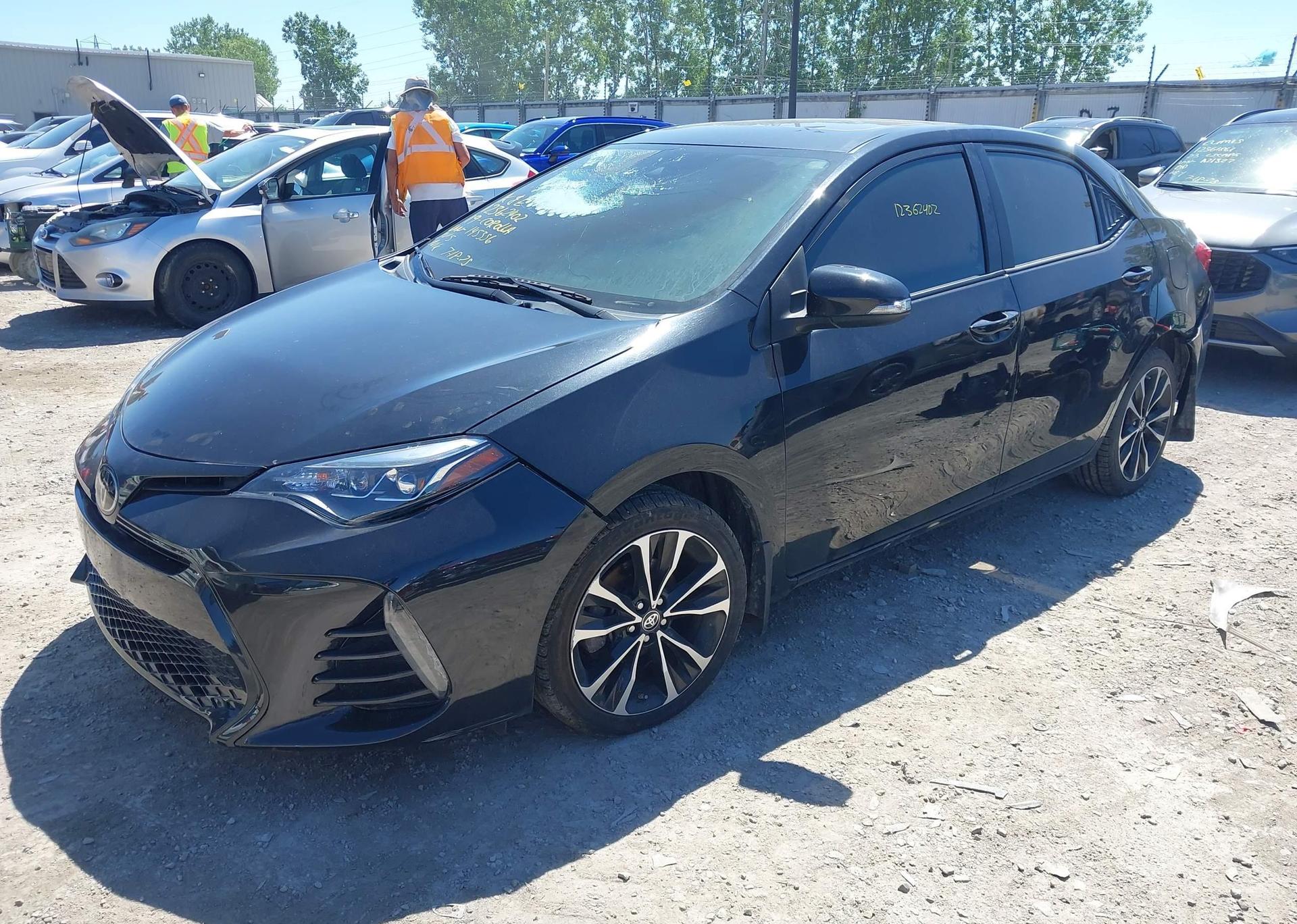 2019 TOYOTA COROLLA L