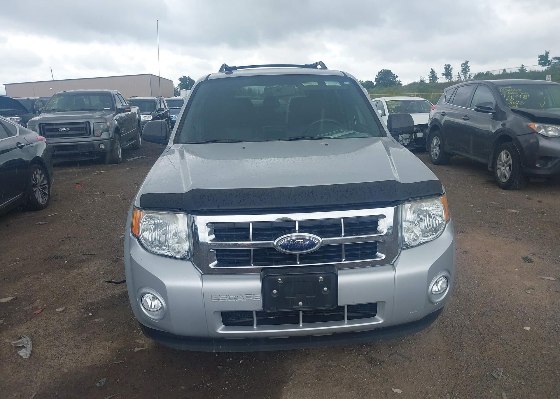 2009 FORD ESCAPE XLT