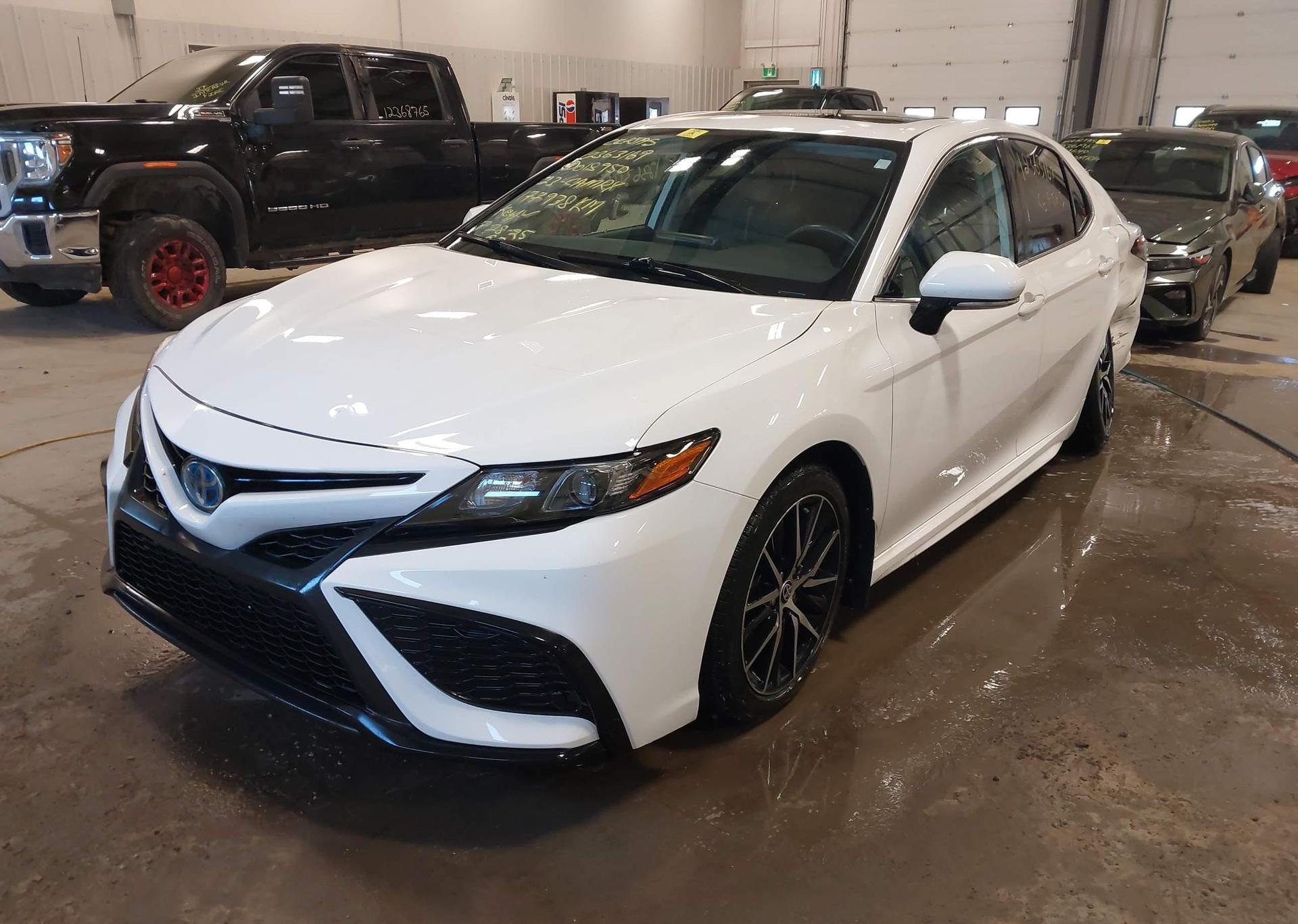2023 TOYOTA CAMRY XLE