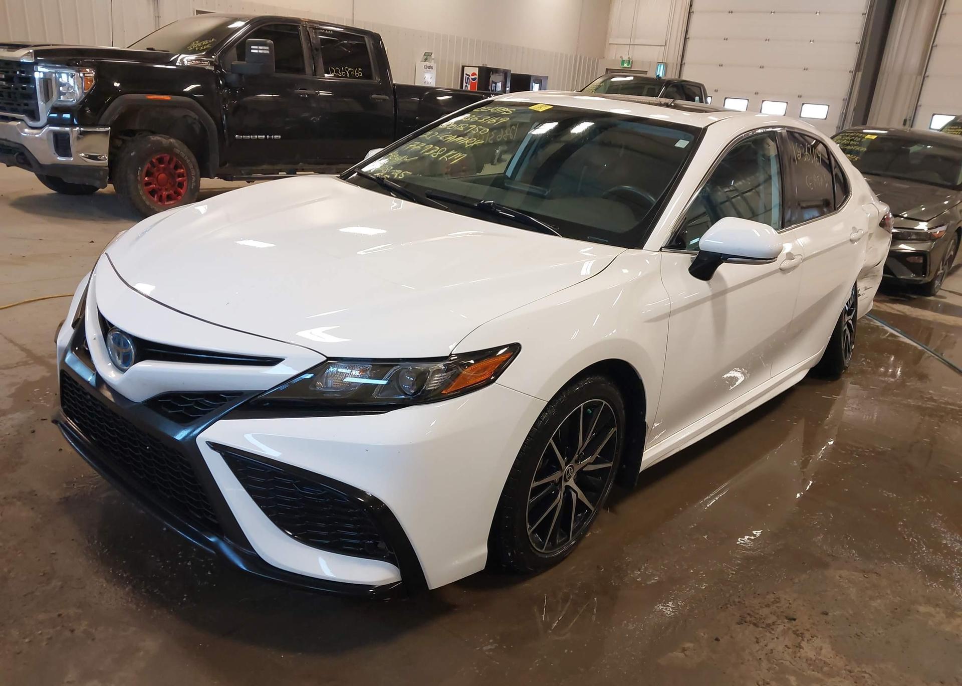 2023 TOYOTA CAMRY XLE