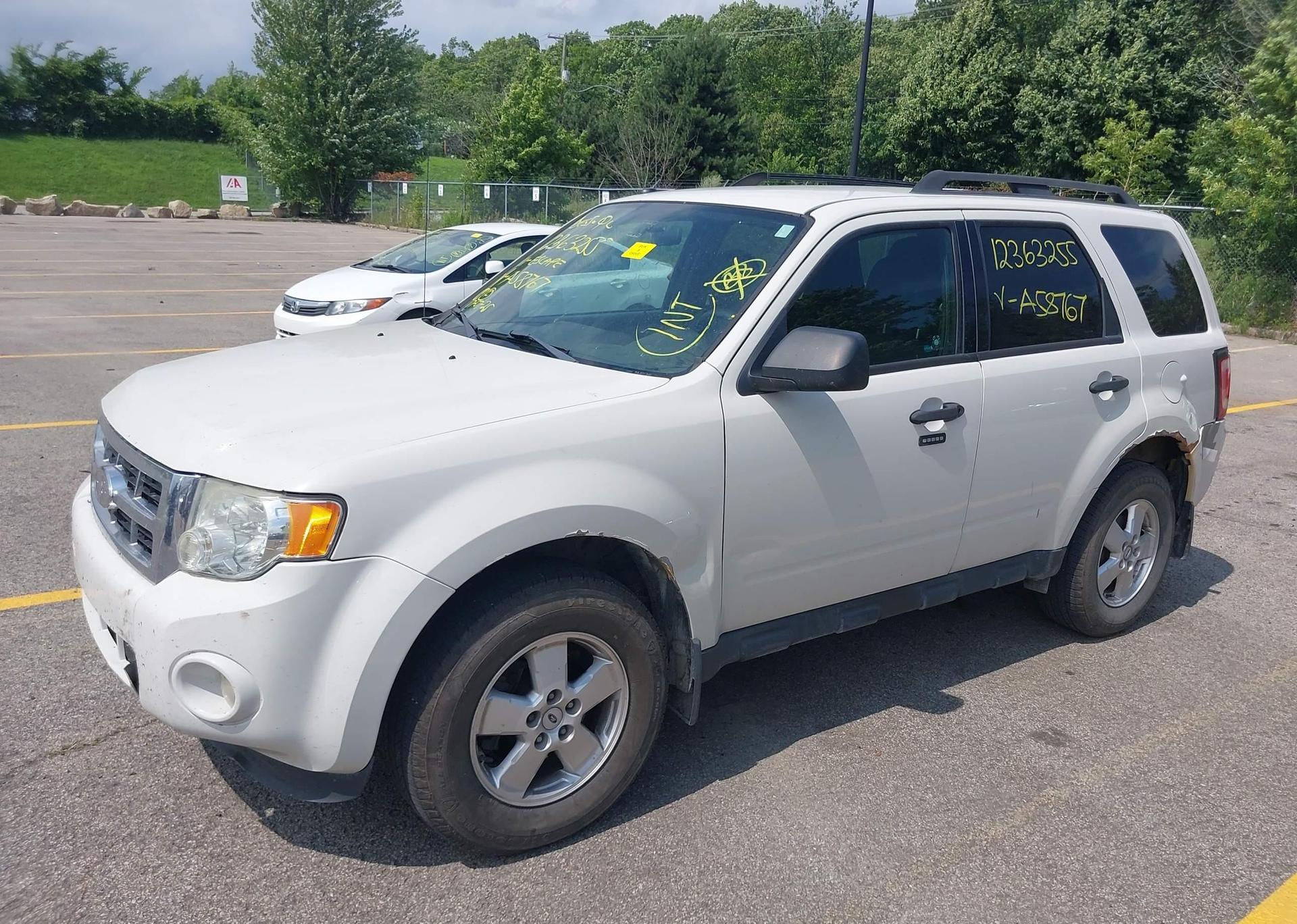 2011 FORD ESCAPE XLT