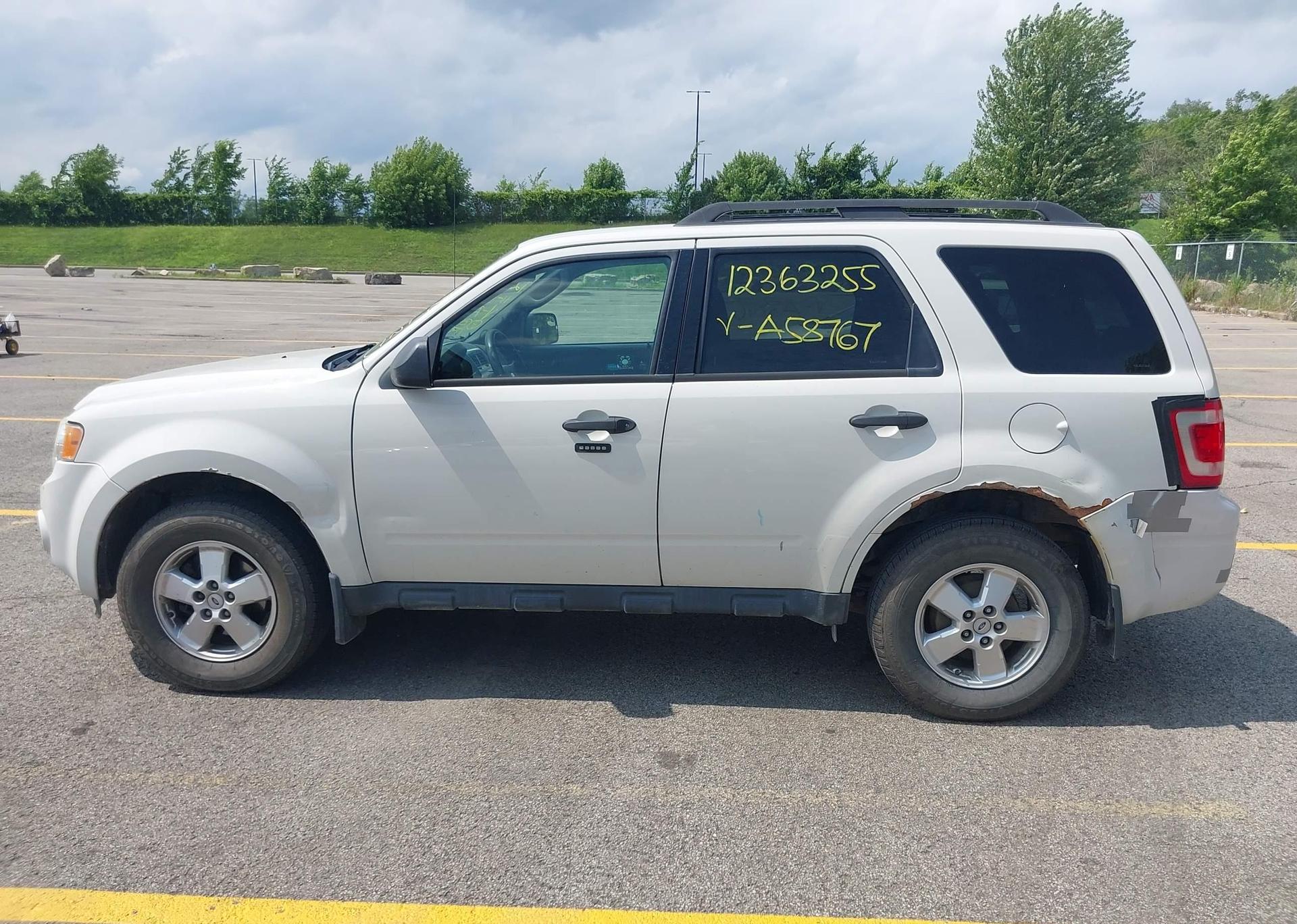 2011 FORD ESCAPE XLT