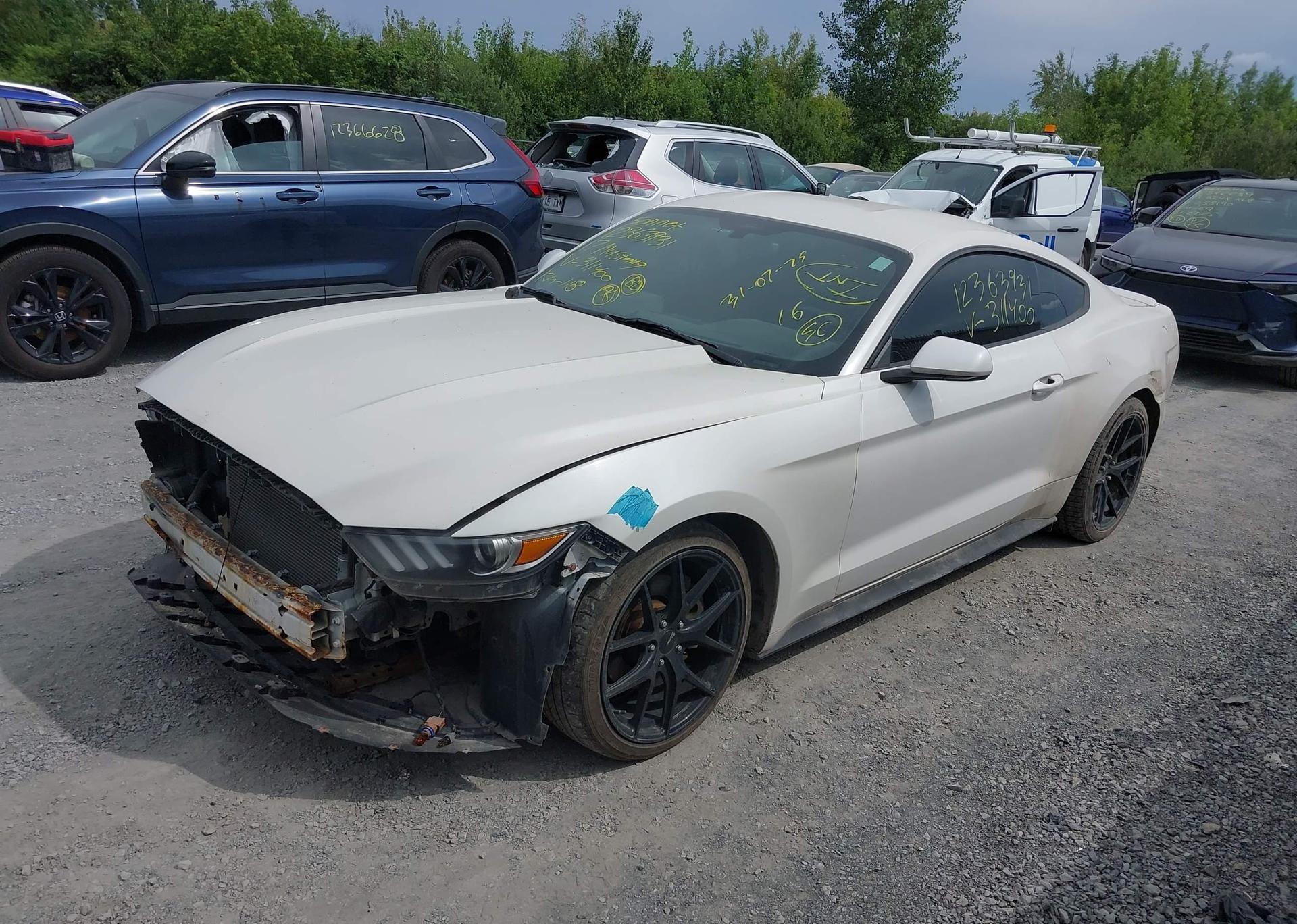 2017 FORD MUSTANG V6
