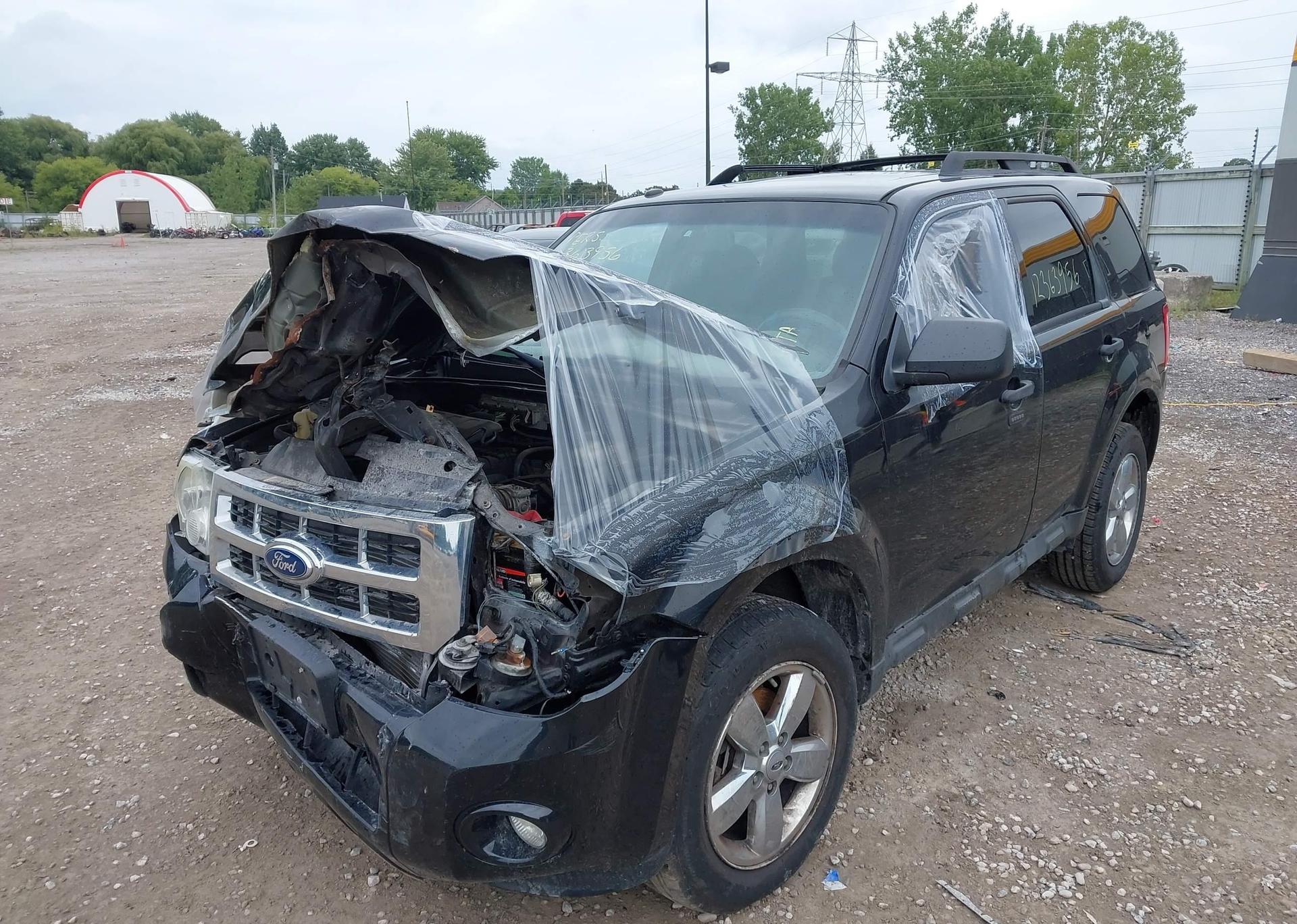 2011 FORD ESCAPE XLT
